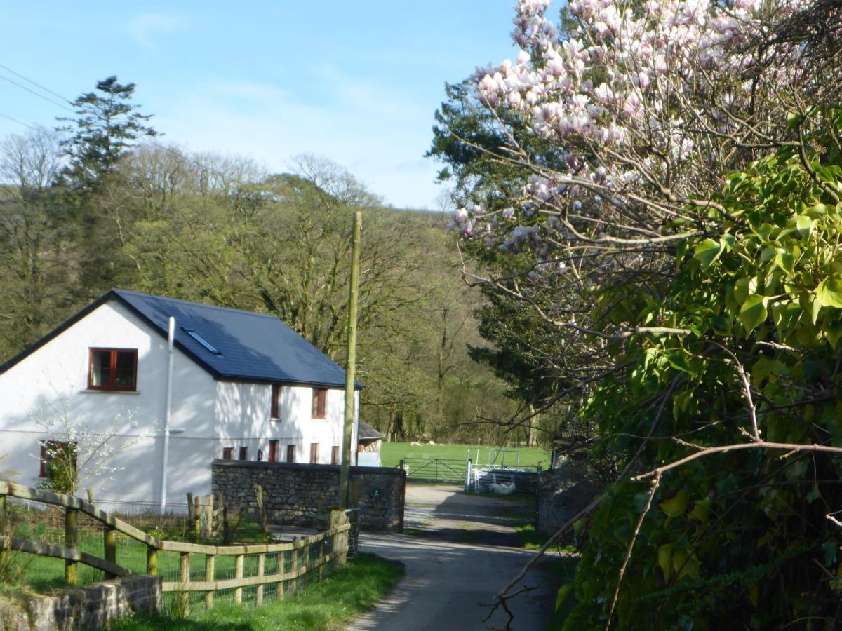 Kestrel Farmhouse Llandovery Exteriér fotografie